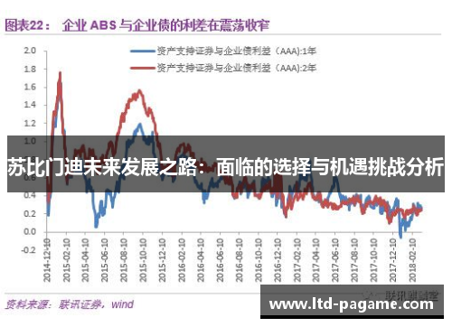 苏比门迪未来发展之路:面临的选择与机遇挑战分析 苏比门迪未来发展之路:面临的选择与机遇挑战分析