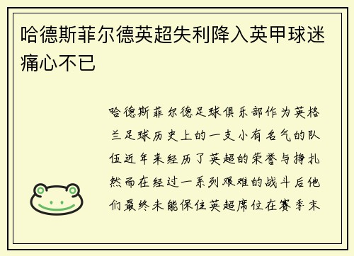哈德斯菲尔德英超失利降入英甲球迷痛心不已
