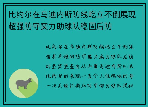 比约尔在乌迪内斯防线屹立不倒展现超强防守实力助球队稳固后防